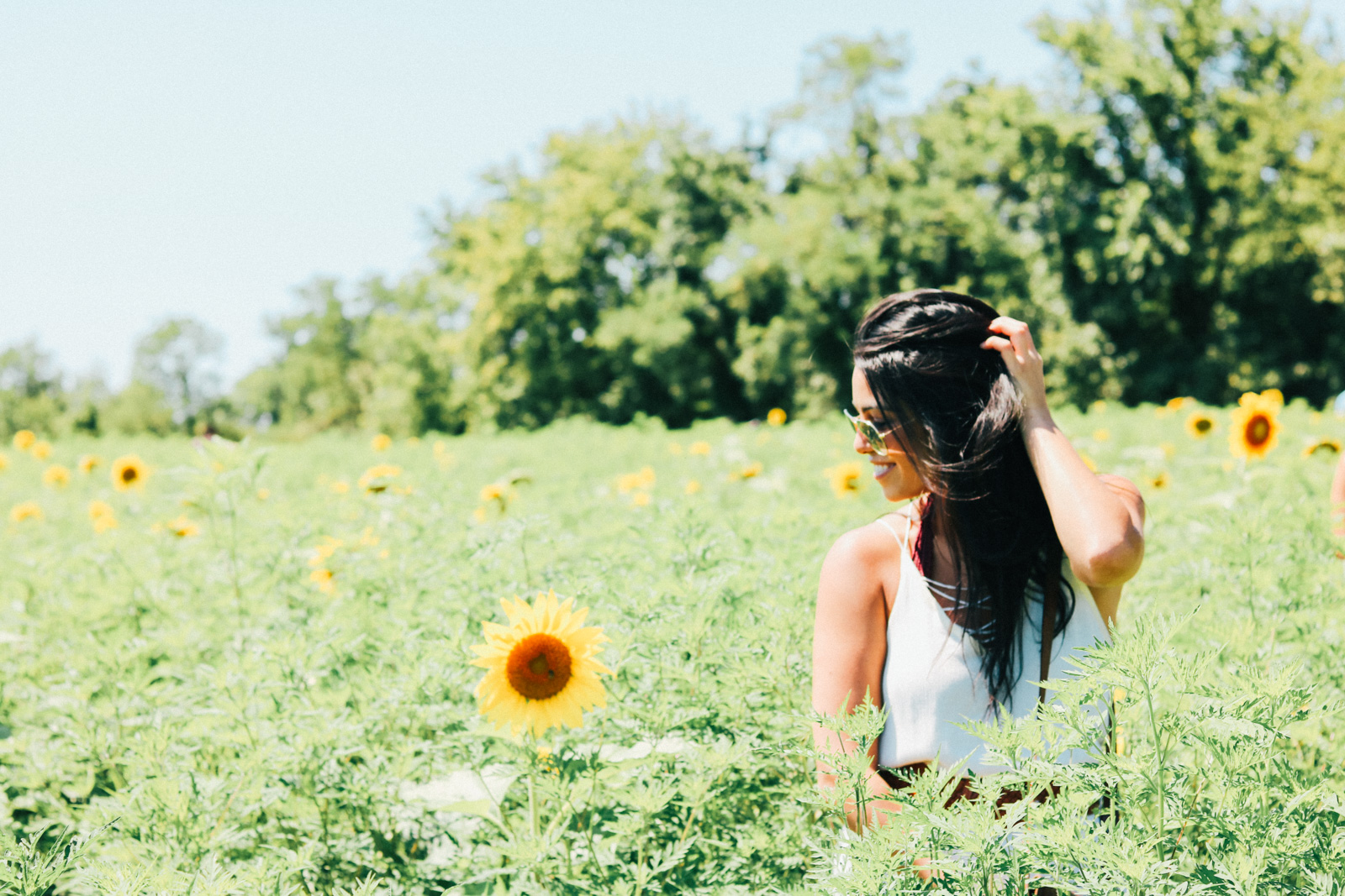 Vineyard and sunflower field exploring for the perfect girls day out and brunch alternative