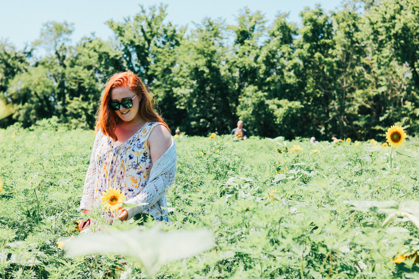 Vineyard and sunflower field exploring for the perfect girls day out and brunch alternative