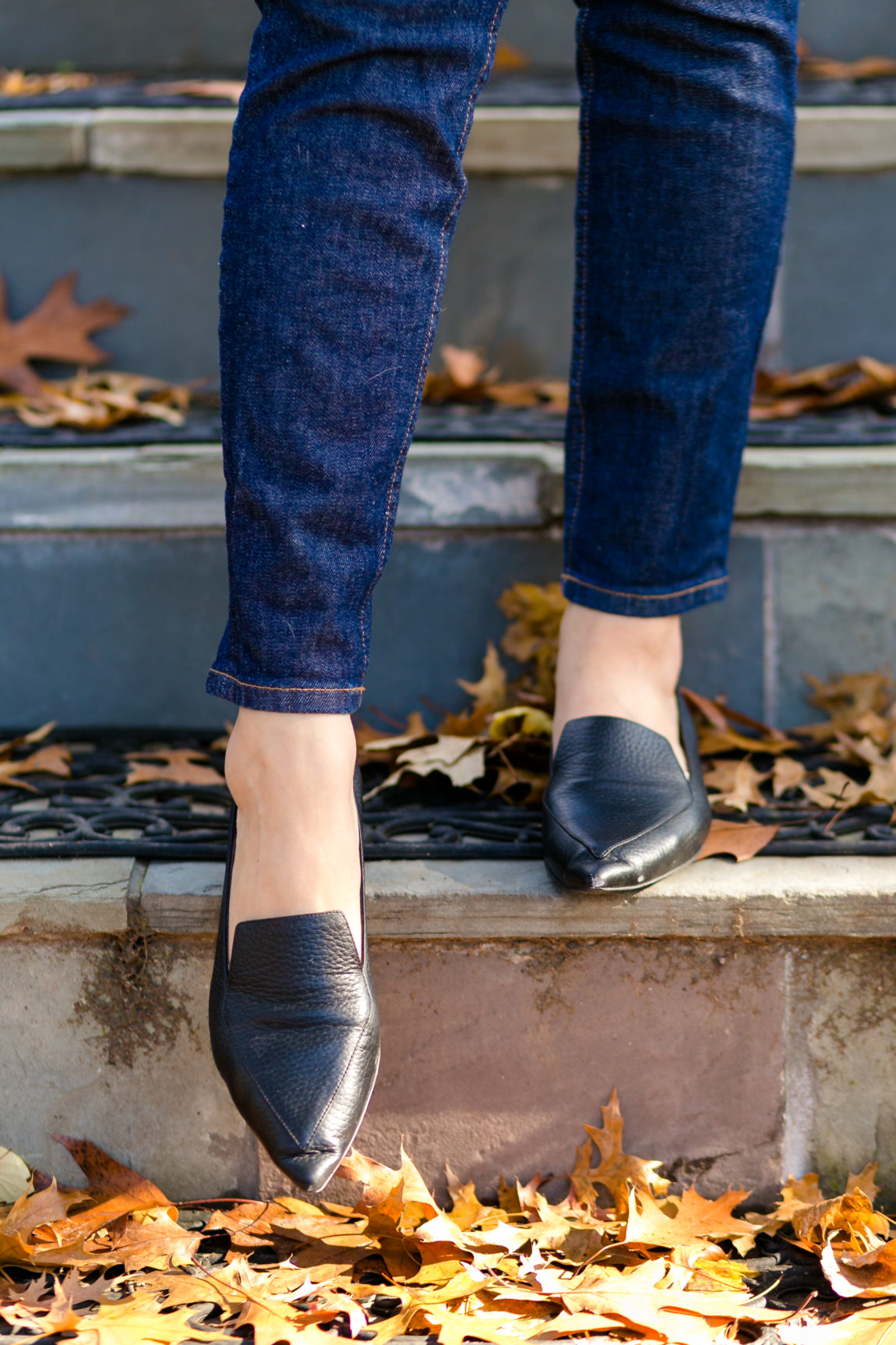 Fall Casual with Everlane - BREE WEST